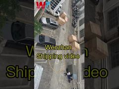 Video di spedizione Wenzhan della macchina di assemblaggio SMT